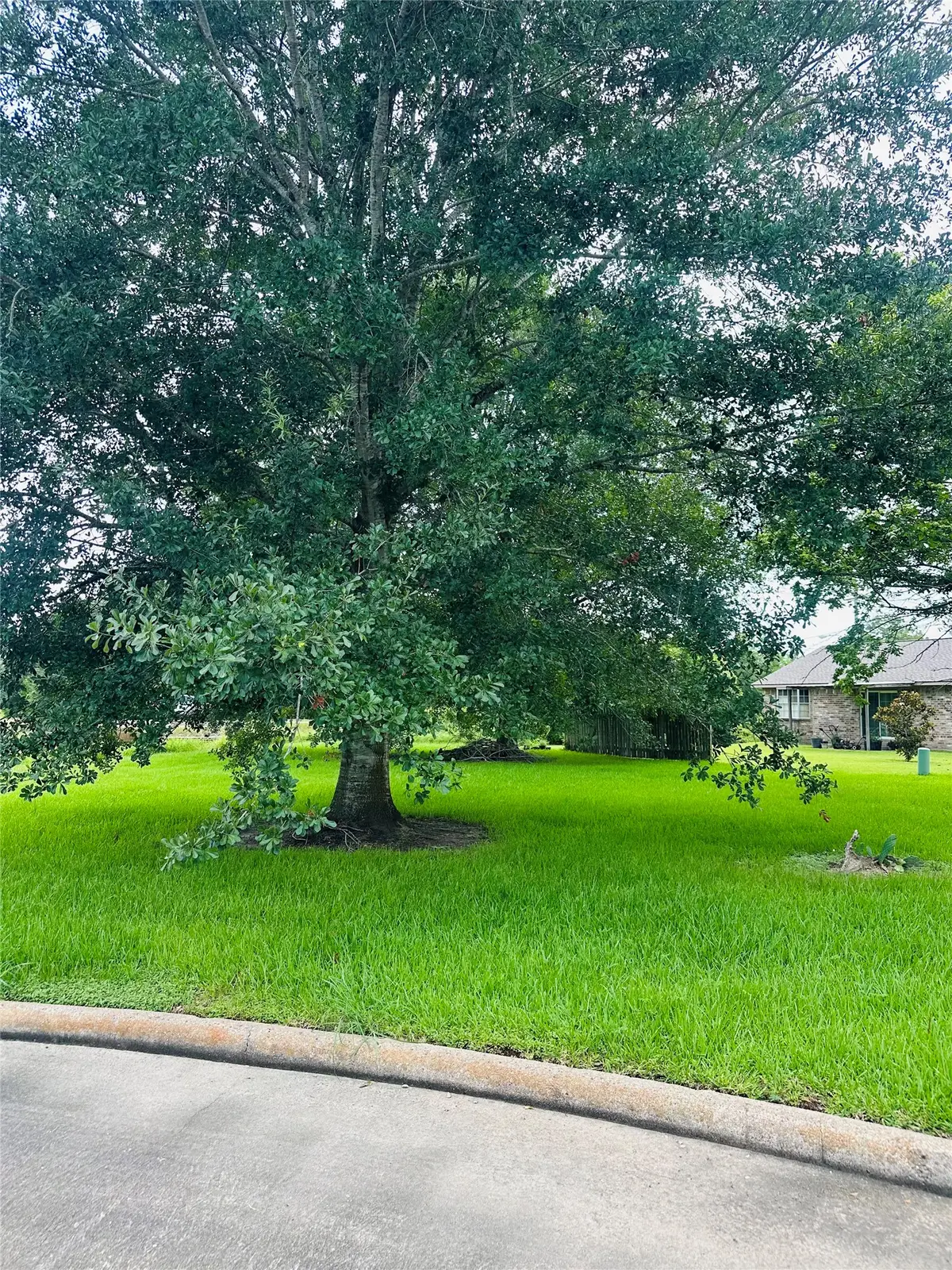 0 Carey Drive, Angleton, TX 77515 - #1