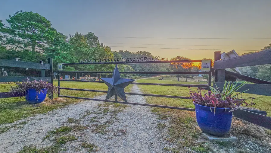 10813 County Road 446, Navasota, TX 77868 - Image #2