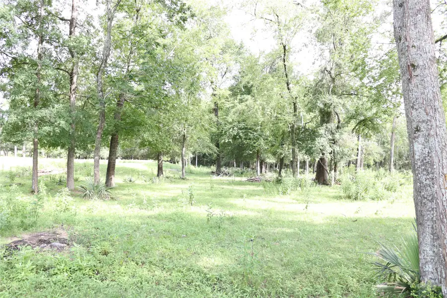 TBD Fm 2158, Midway, TX 75852 - Image #3