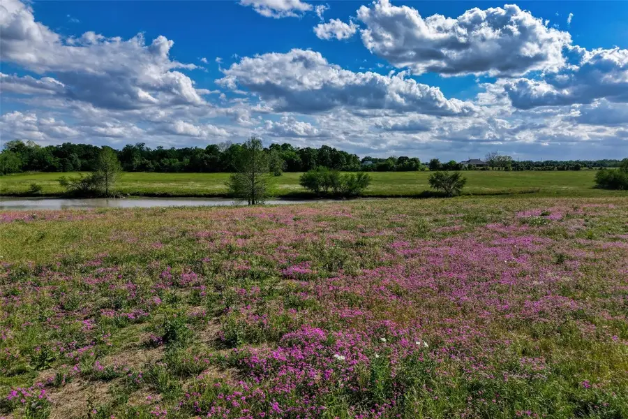 105 Brazos Hill Lane, Sealy, TX 77474 - #2