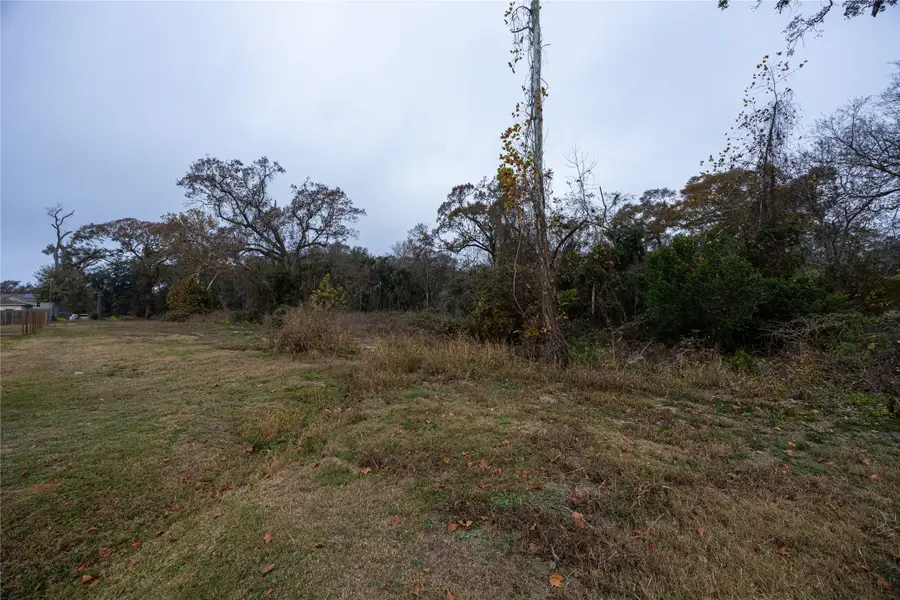 09 Baker St, Hempstead, TX 77445 - #2