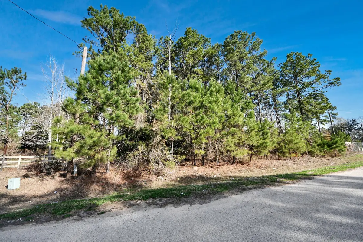 1307 County Road 3479j, Cleveland, TX 77327 - Image #1