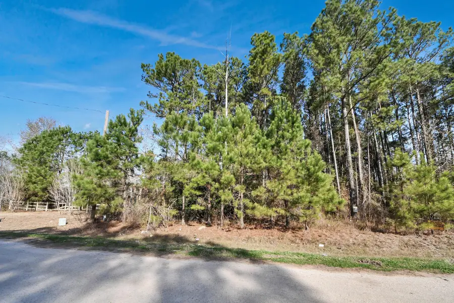 1307 County Road 3479j, Cleveland, TX 77327 - Image #2