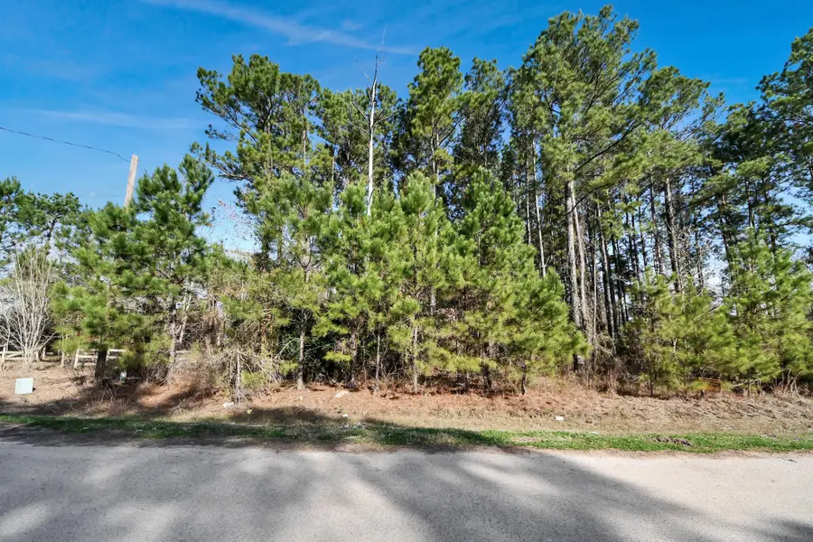 1307 County Road 3479j, Cleveland, TX 77327 - Image #3