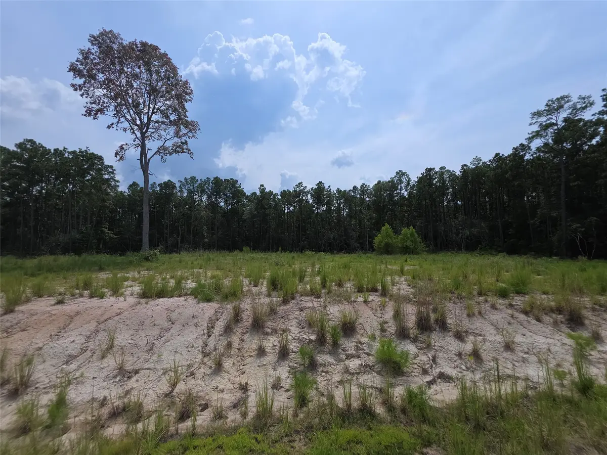 139 Rayburn Reserve Drive, Sam Rayburn, TX 75931 - Image #1