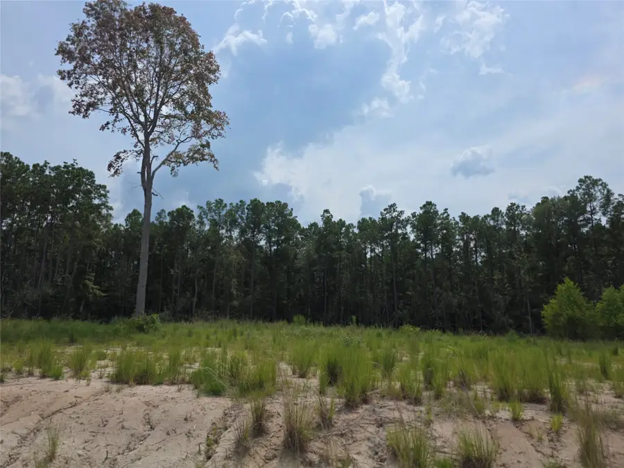 139 Rayburn Reserve Drive, Sam Rayburn, TX 75931 - Image #2