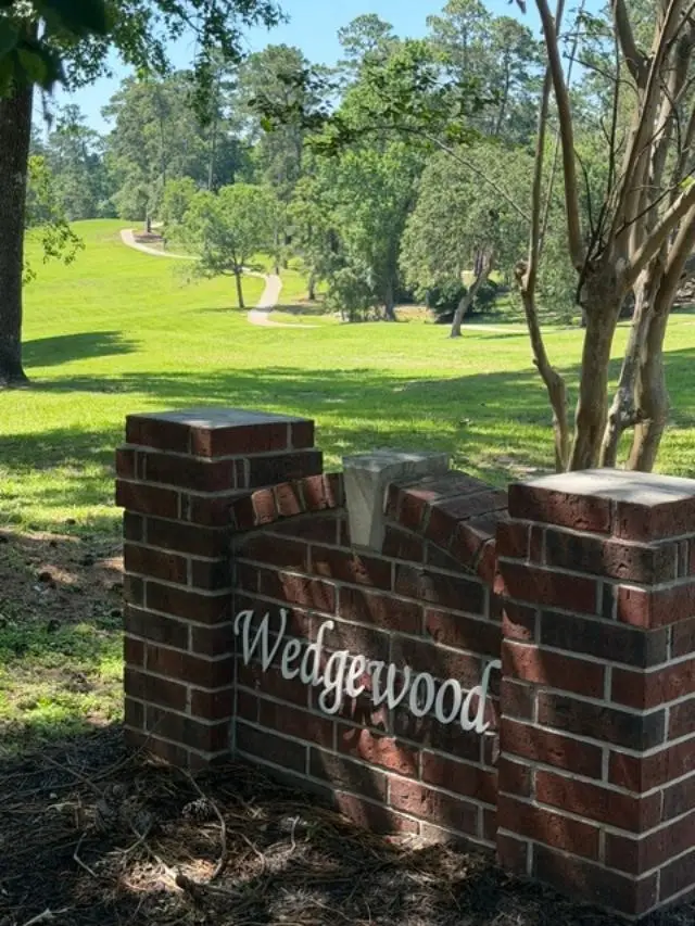 10 Wellington Lane, Conroe, TX 77304 - #2