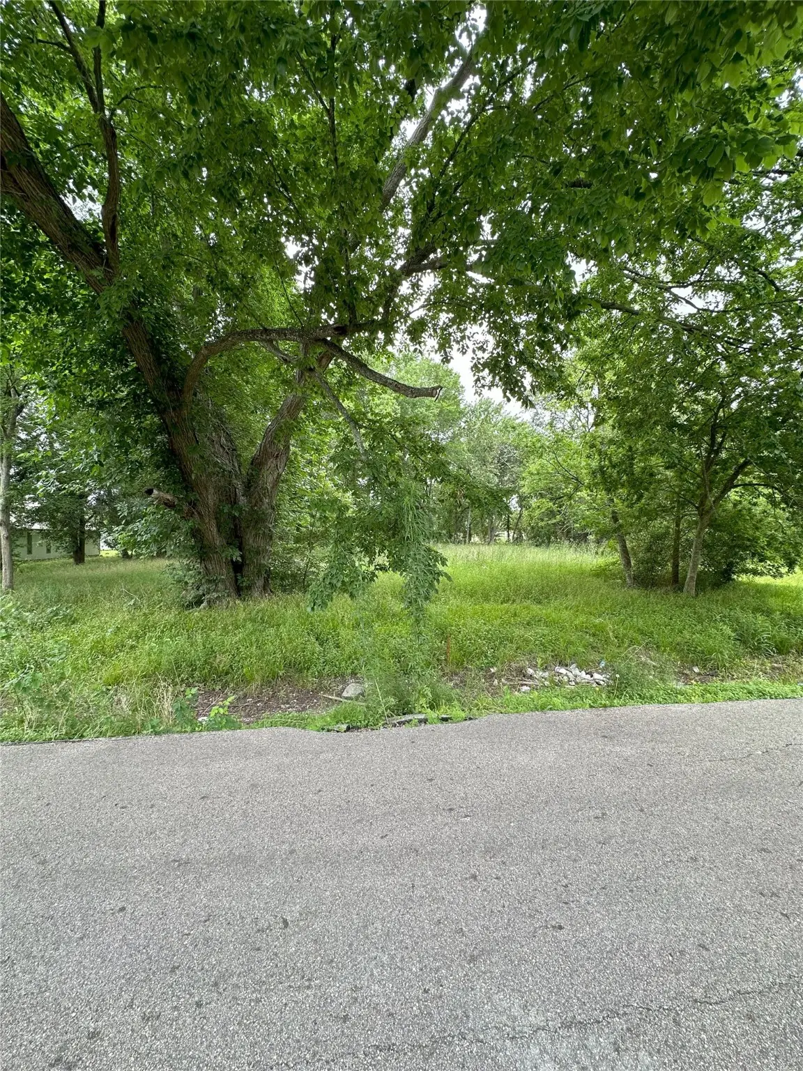 0 Larkspur Street, Houston, TX 77033 - Image #1