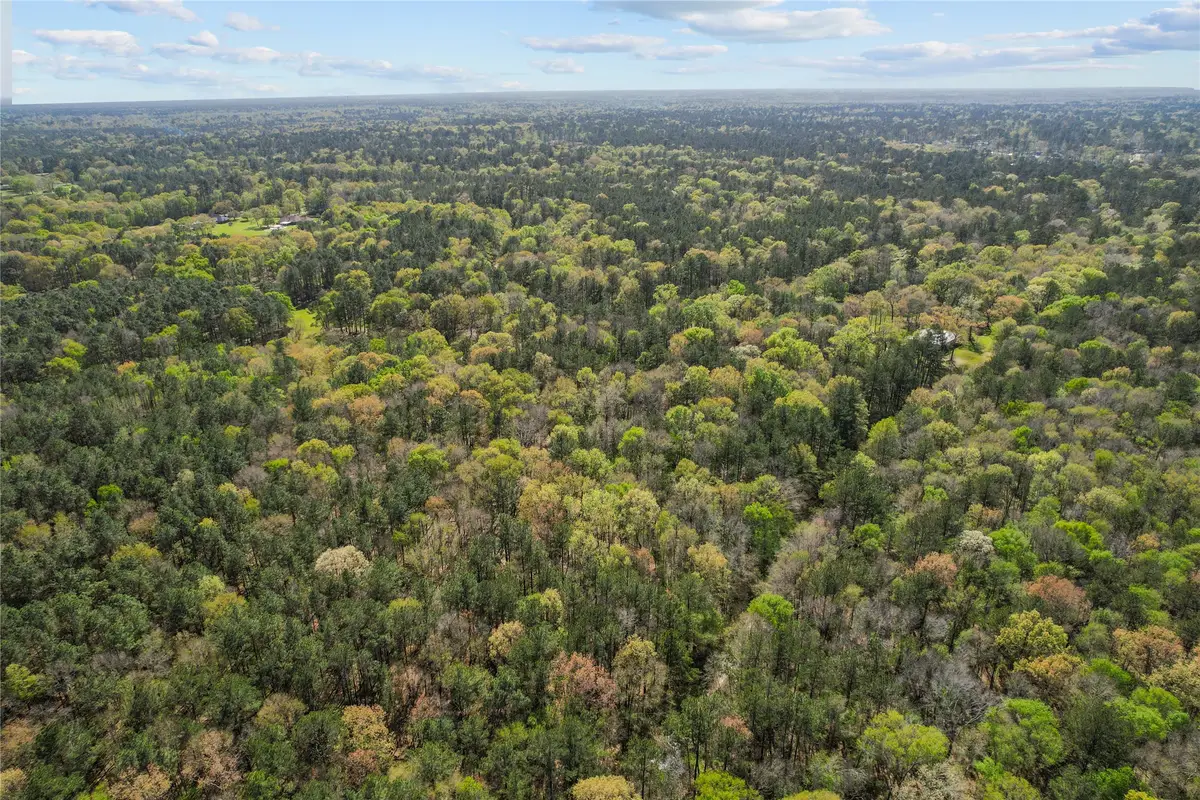 TBD Green Leaf, New Caney, TX 77357 - Image #1