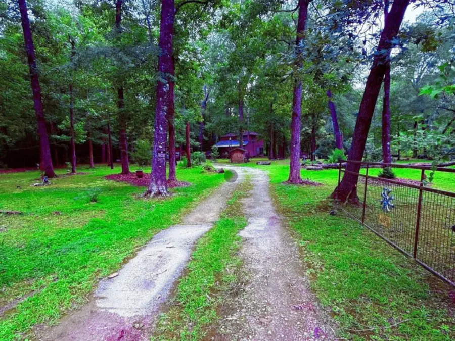 341 Pine Valley Drive, Shepherd, TX 77371 - #3