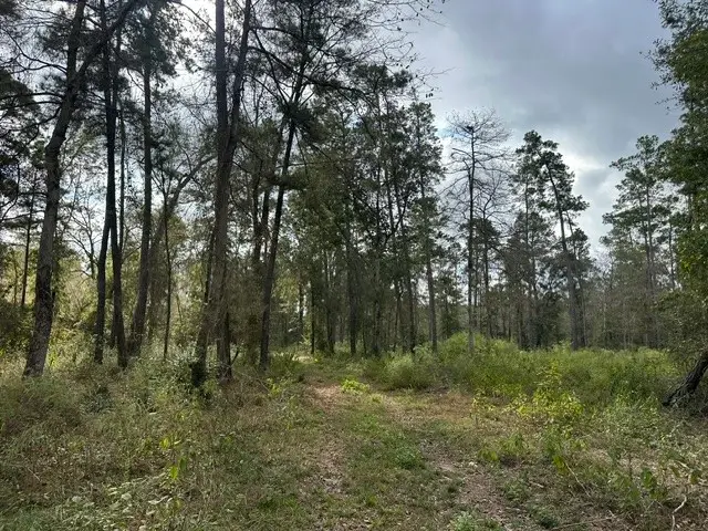 2 Salem Church Rd, Willis, TX 77378 - #1