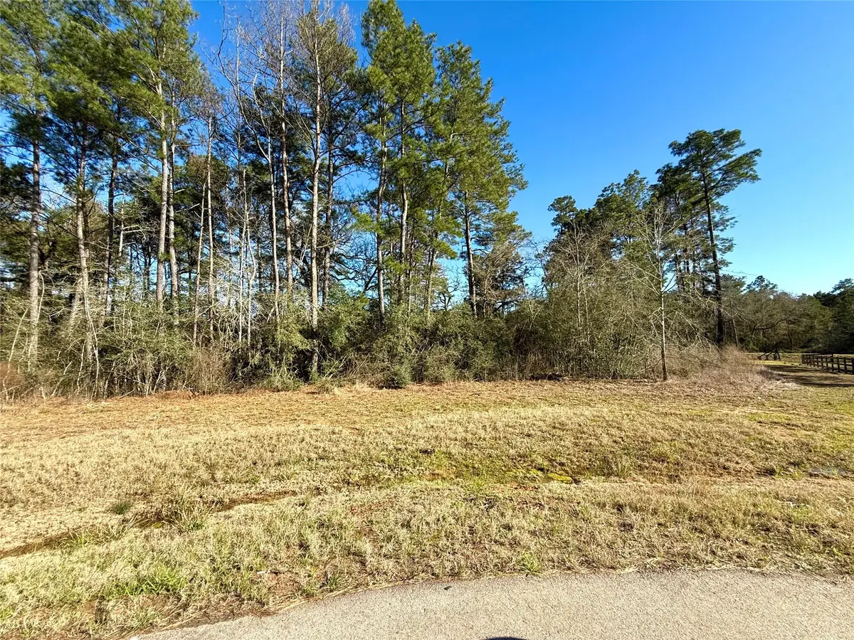 26601 Buchanan Court, Magnolia, TX 77355 - #1