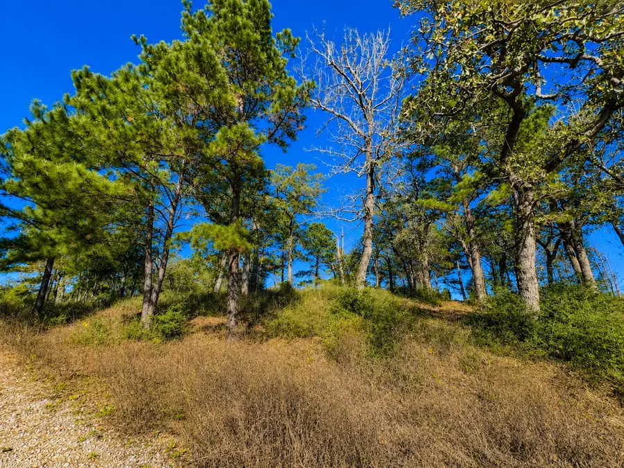 TR 112 Pr 1313, Centerville, TX 75833 - #3