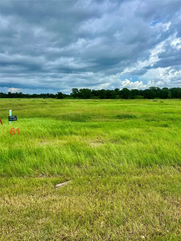 724 Lake Day Drive, Somerville, TX 77879