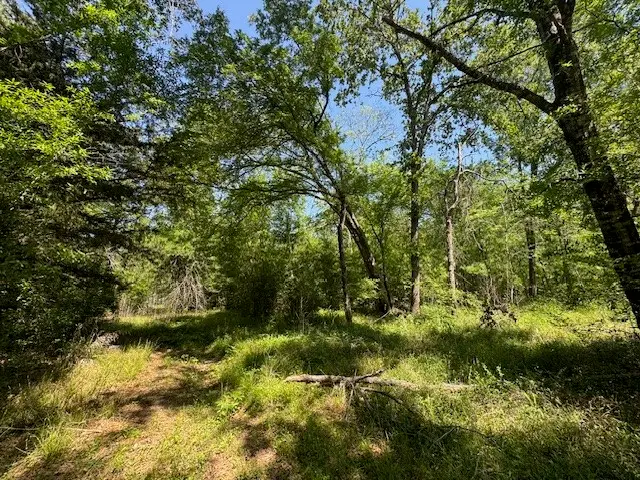 114 Brazil Boulevard, Huntsville, TX 77320 - #2