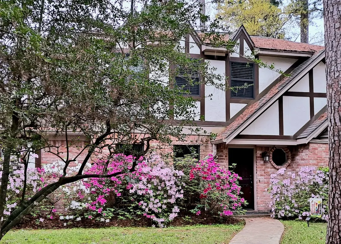 2 Chatterbird Lane, Spring, TX 77380 - #1