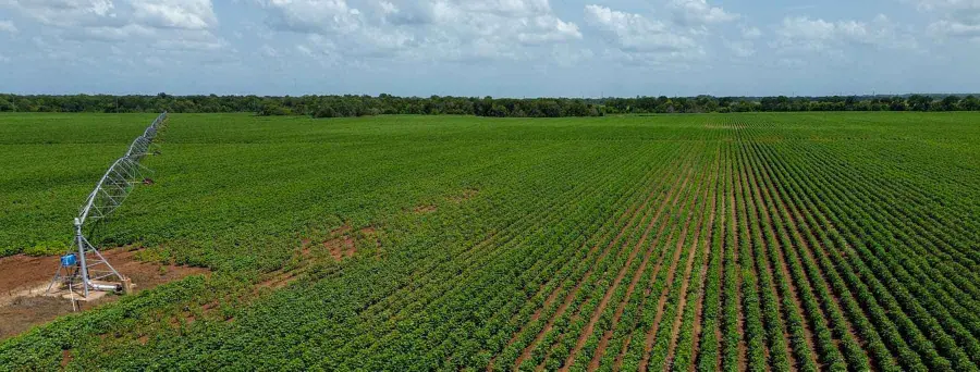 000 Sims Lane Lane, Bryan, TX 77801 - #2