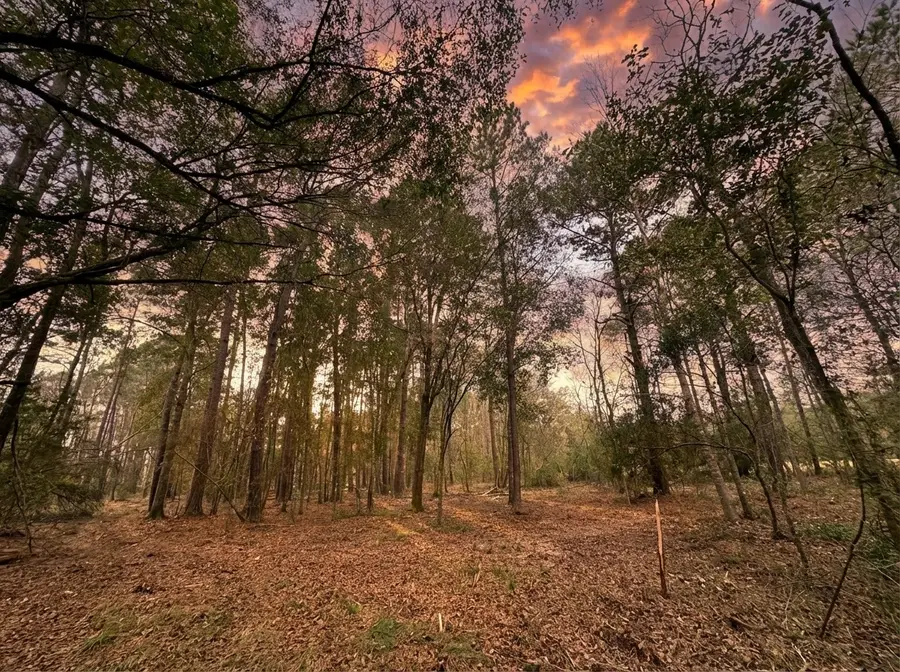 lot 175 County Road 3017c, Dayton, TX 77535 - Image #2