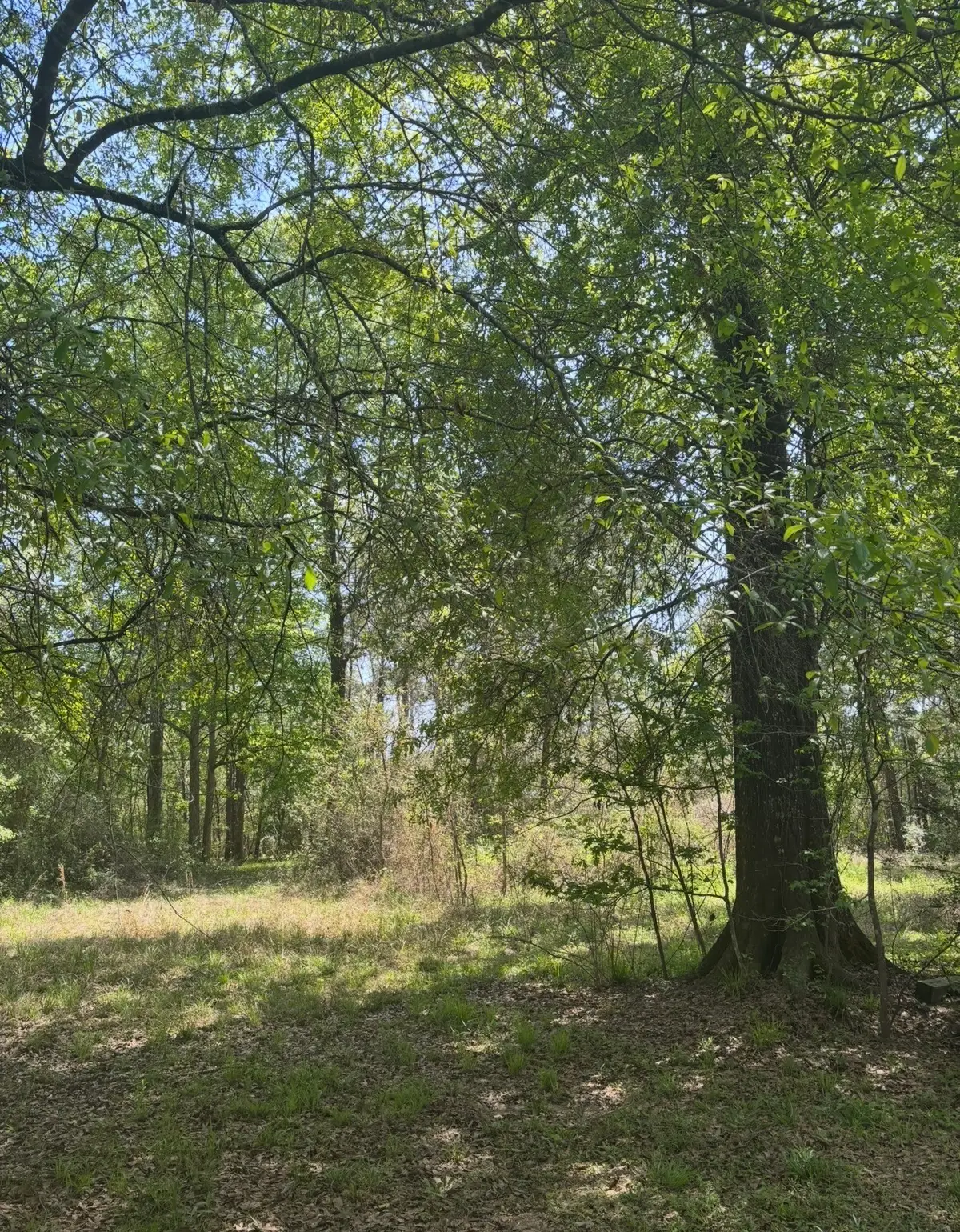 668 County Road 647, Dayton, TX 77535 - #1