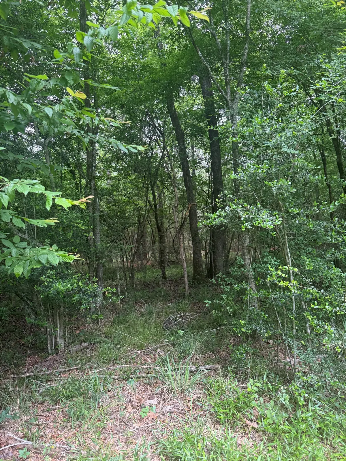 TBD Bilnoski Road, Willis, TX 77378 - #1