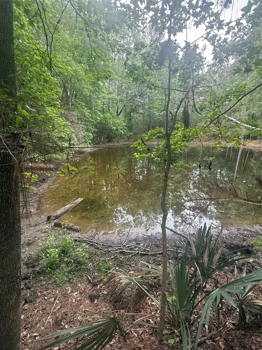 TBD Bilnoski Road, Willis, TX 77378 - #3