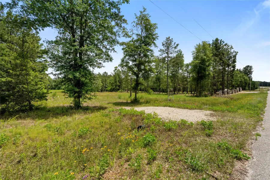4578 N Duck Creek Road, Southeast Montgomery, TX 77328 - Image #3