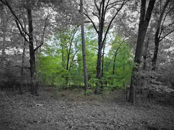 TBD Lot 25 Bending Oaks Lane, Livingston, TX 77351