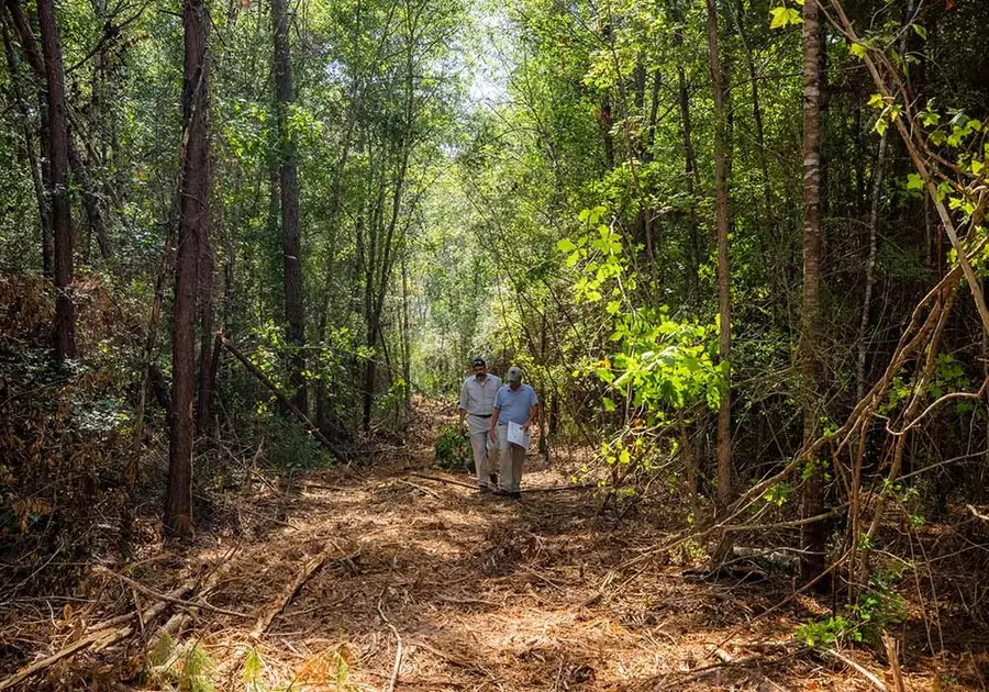 15556 Intrepid Lane, Willis, TX 77378 - Image #3