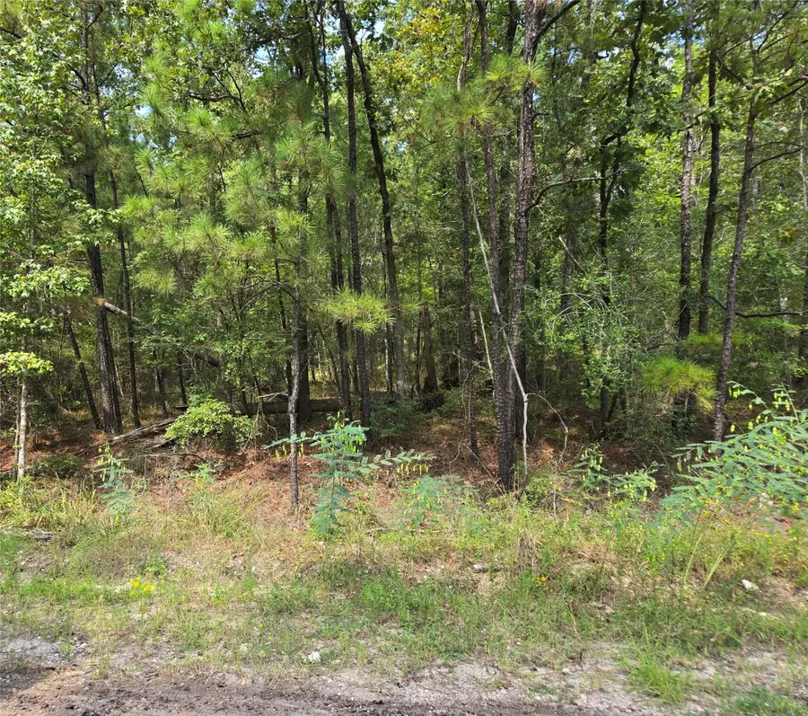 0123 Ashridge Drive, Brookeland, TX 75931 - Image #2