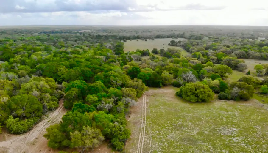 0 Fm 530, Hallettsville, TX 77964 - #2