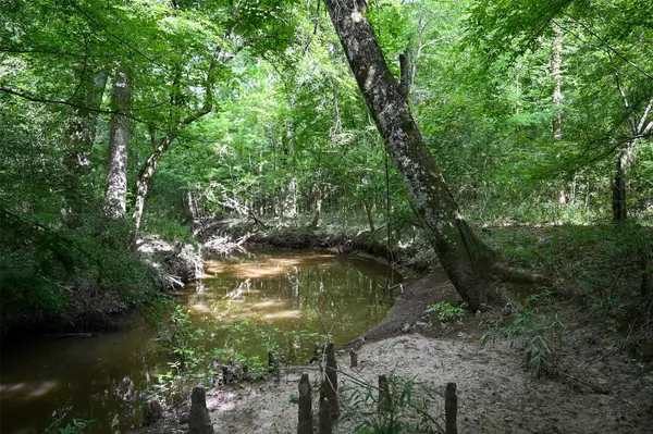 tbd County Road 2150, Woodville, TX 75979
