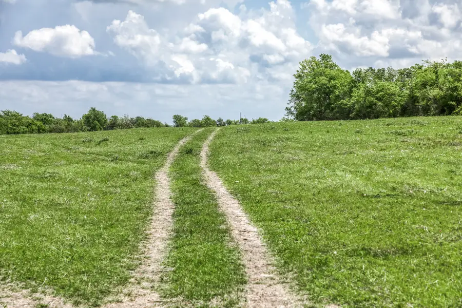 47 Acres Fm 50, Brenham, TX 77833 - #3