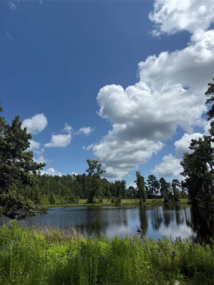 14055 Fm 357, Groveton, TX 75845 - #2
