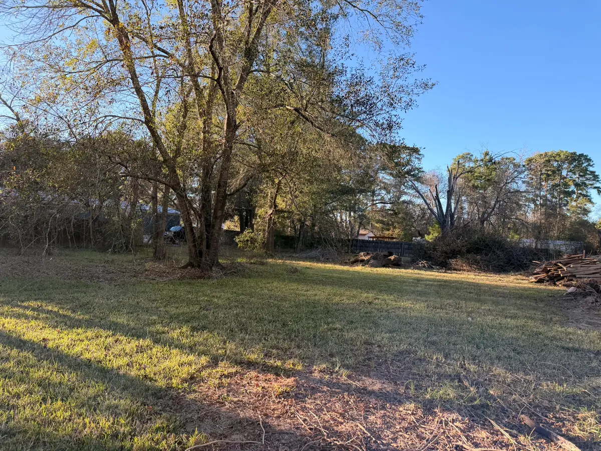 00 Davis, Magnolia, TX 77355 - Image #1