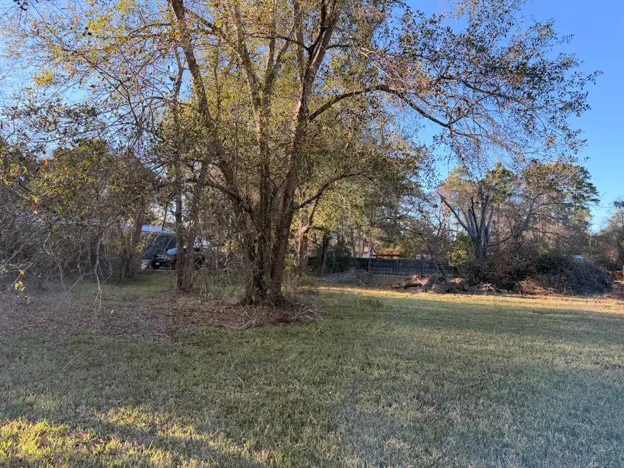 00 Davis, Magnolia, TX 77355 - Image #3