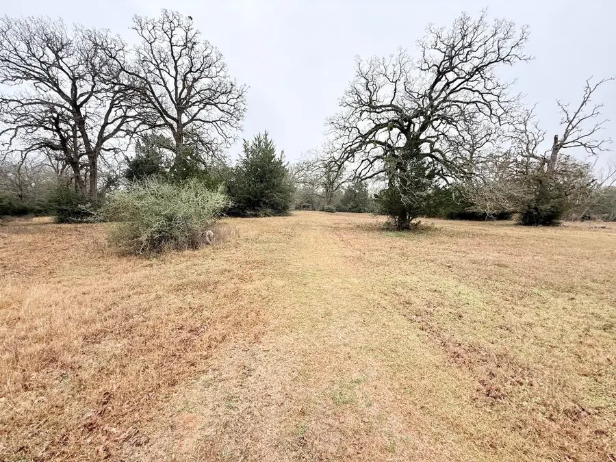TBD Wannabe Road, Bryan, TX 77808 - #3