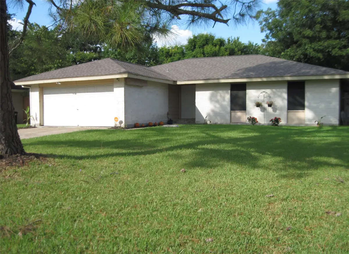 16811 Stardale Lane, Friendswood, TX 77546 - #1