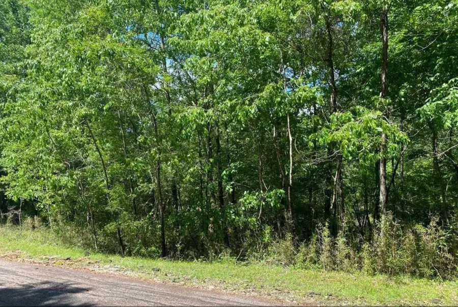 43 Shetland Lane, Coldspring, TX 77331 - Image #3