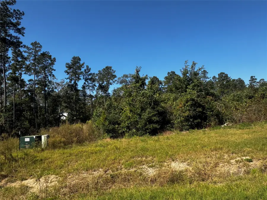 15279 Rubicon Road, Willis, TX 77378 - Image #2