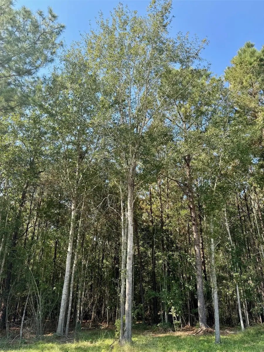 TBD Stonebrook Drive, Livingston, TX 77351 - #2