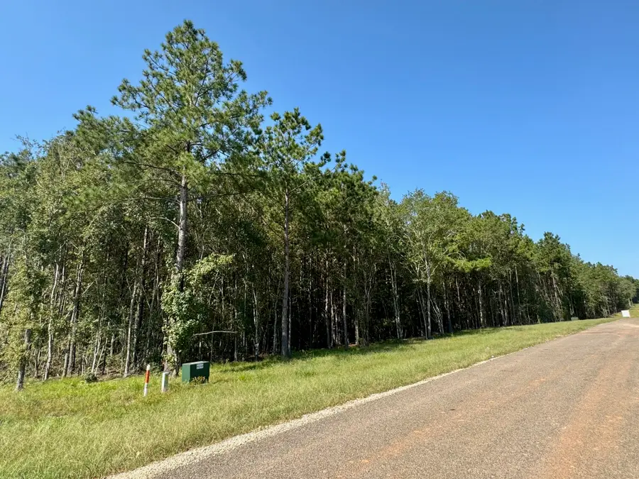 TBD Stonebrook Drive, Livingston, TX 77351 - #3