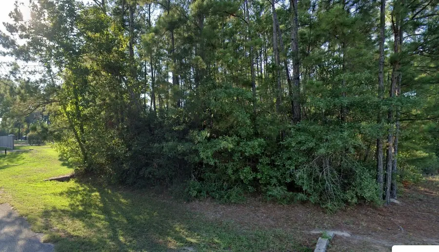 226 W Lone Oak Road, Onalaska, TX 77360 - Image #2