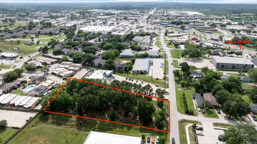 1017 Alma Street, Tomball, TX 77375 - #2