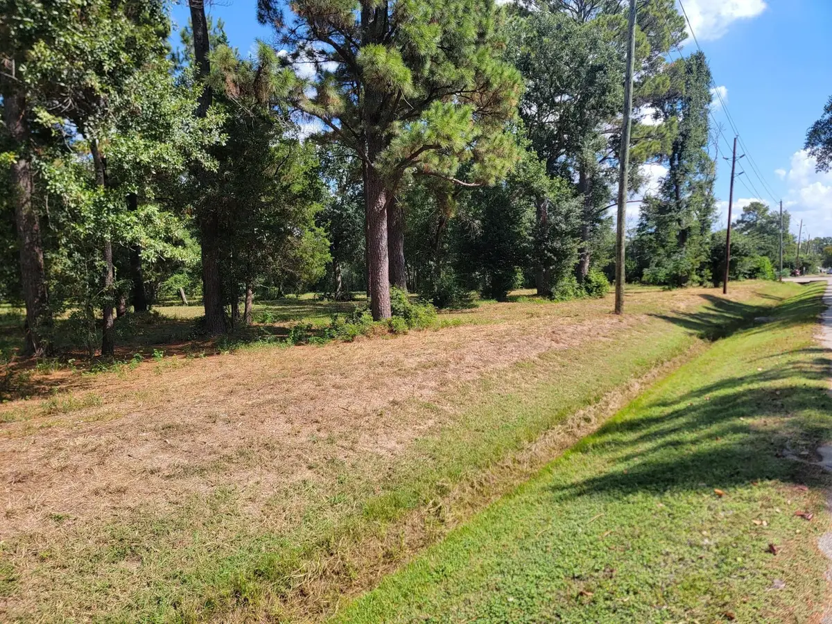 0 11th Street, Katy, TX 77493 - Image #1