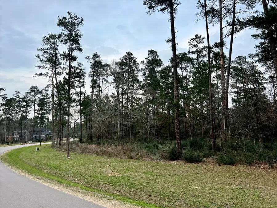 TBD6 Lily Bean Road, Montgomery, TX 77316 - #3