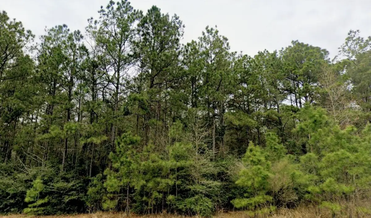 15588 Intrepid Lane, Willis, TX 77378 - Image #1