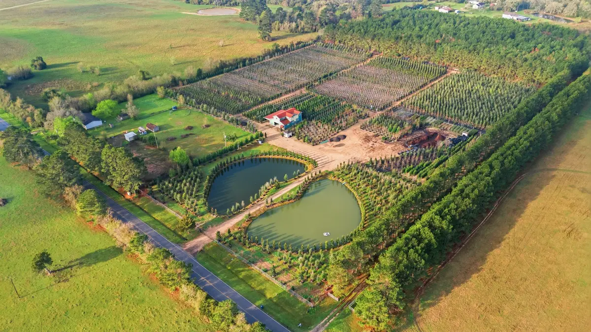 28287 Hegar Road, Hockley, TX 77447 - #1