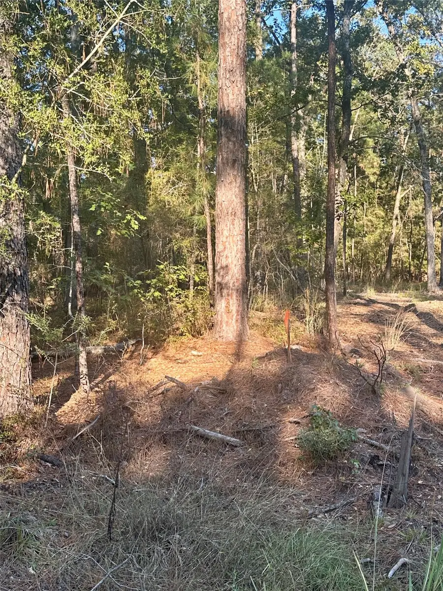 395 Deergrass Drive, Brookeland, TX 75931 - Image #3