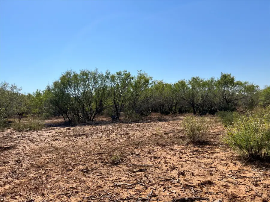 50 Cr 321 Tract 15, Jourdanton, TX 78026 - Image #3