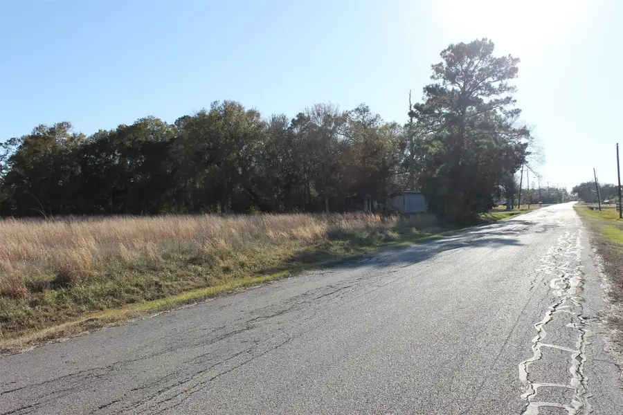 8531 Avenue H, Liverpool, TX 77577 - #2